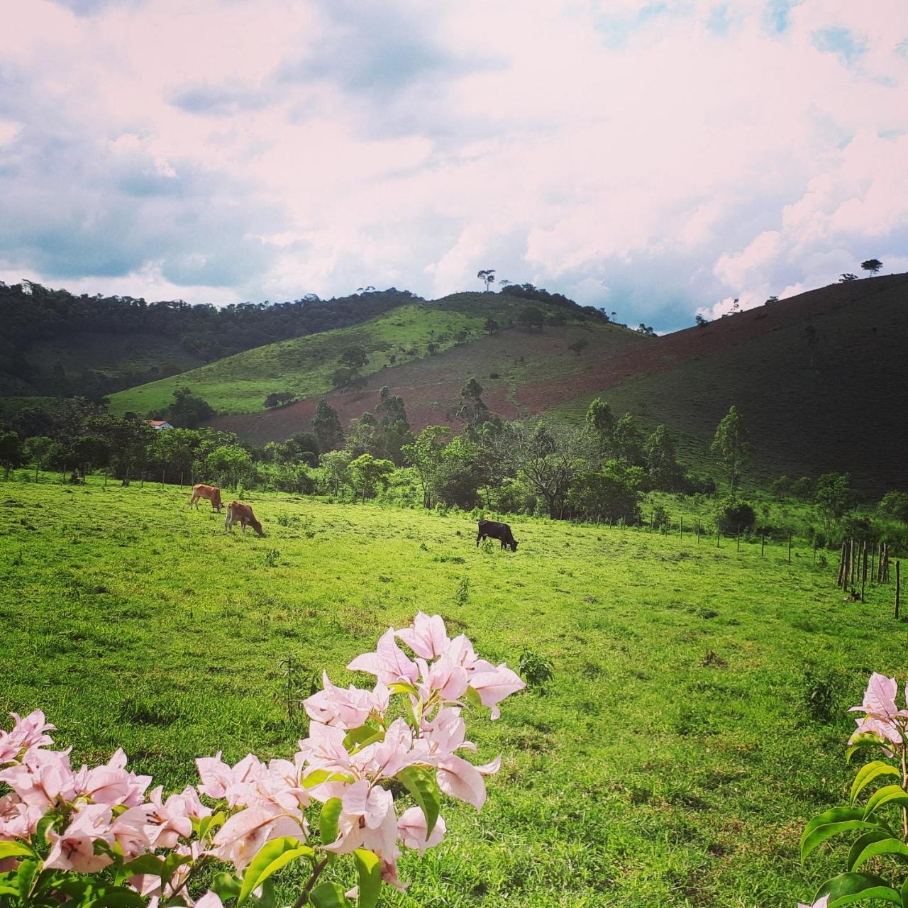 Pousada Chales Dos Montes Santana dos Montes Exterior foto